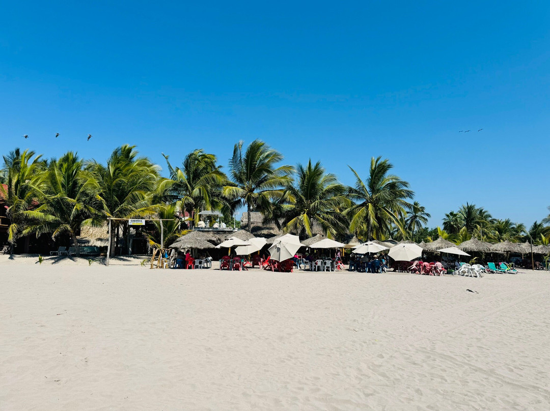 Playa El Borrego-San Blas必去景点