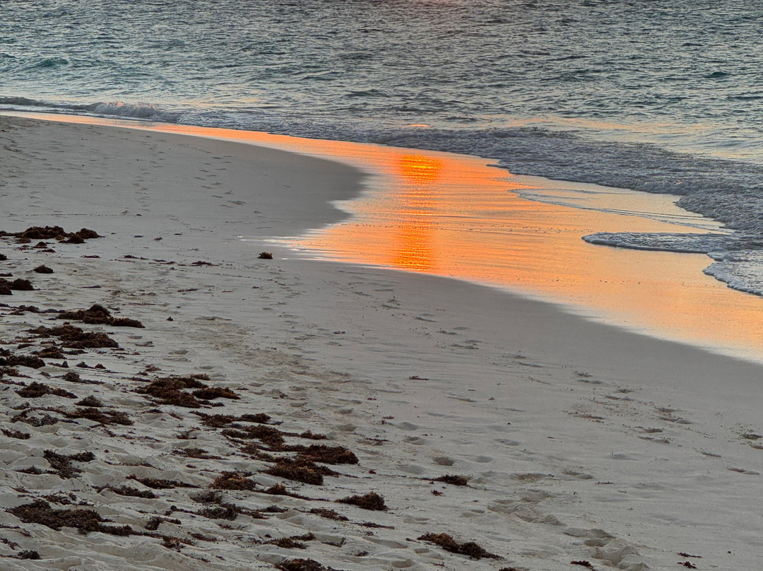 Shoal Bay Villas主图