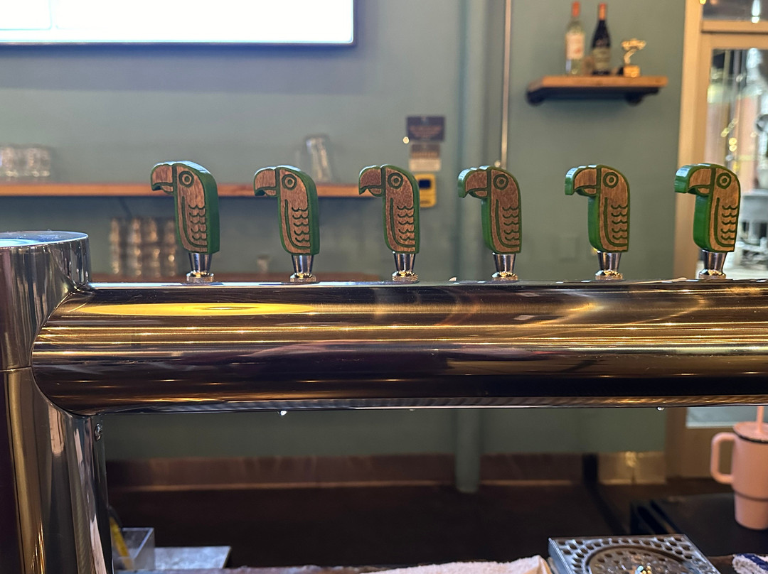 Green Cheek Beer Co.-科斯塔梅沙必去景点