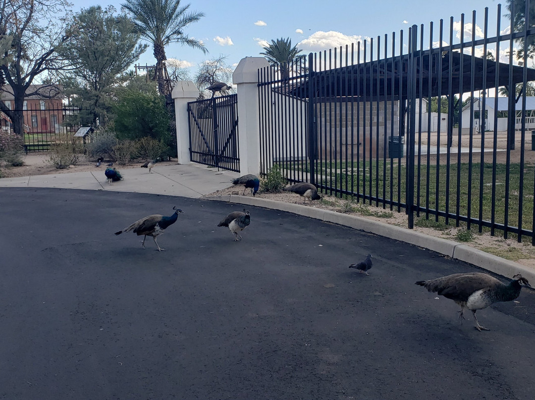 Xeriscape Botanical Gardens-格兰岱尔必去景点