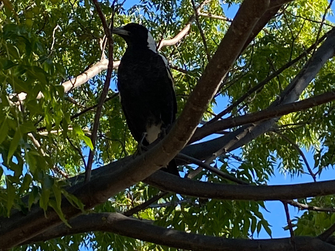 Avenel Railway Station-Avenel必去景点