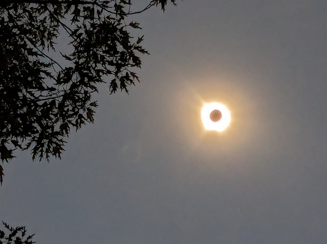 Tiffany's Bed & Breakfast主图