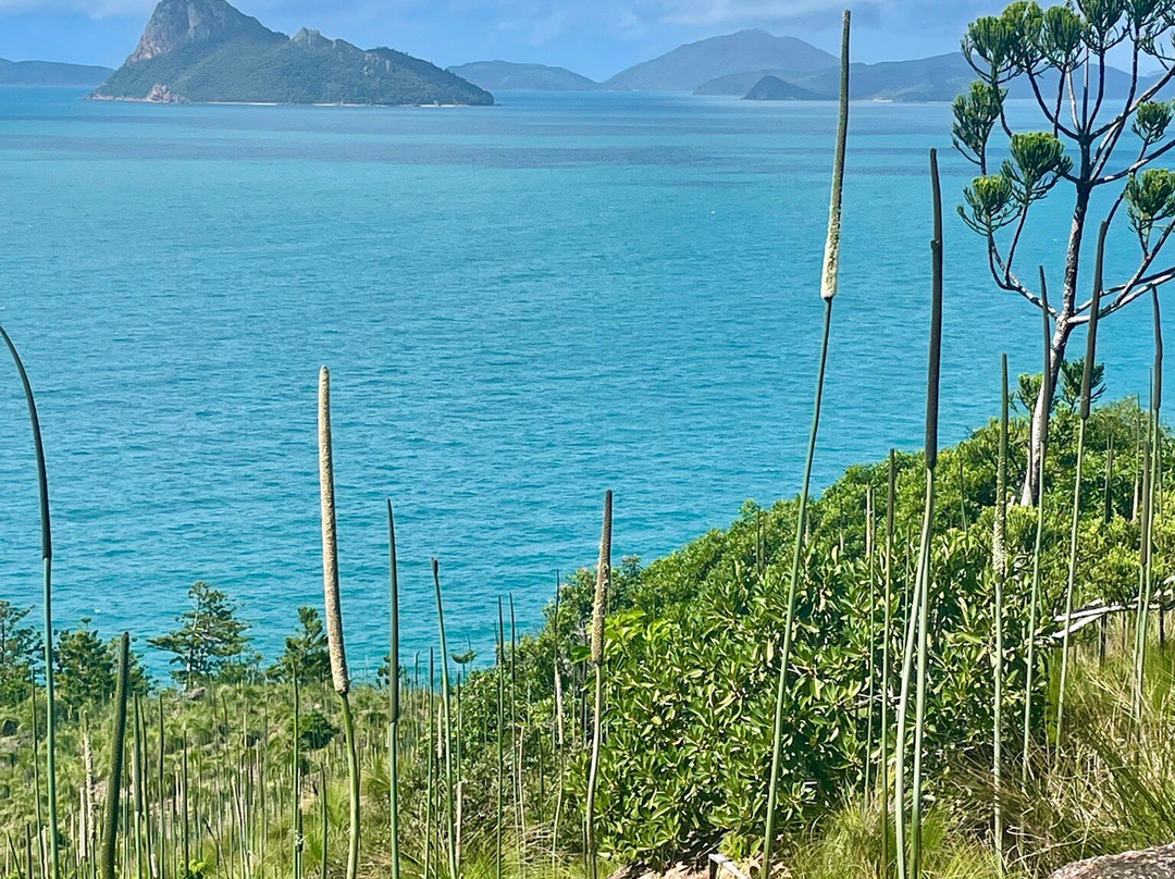 South East Head-汉密尔顿岛必去景点