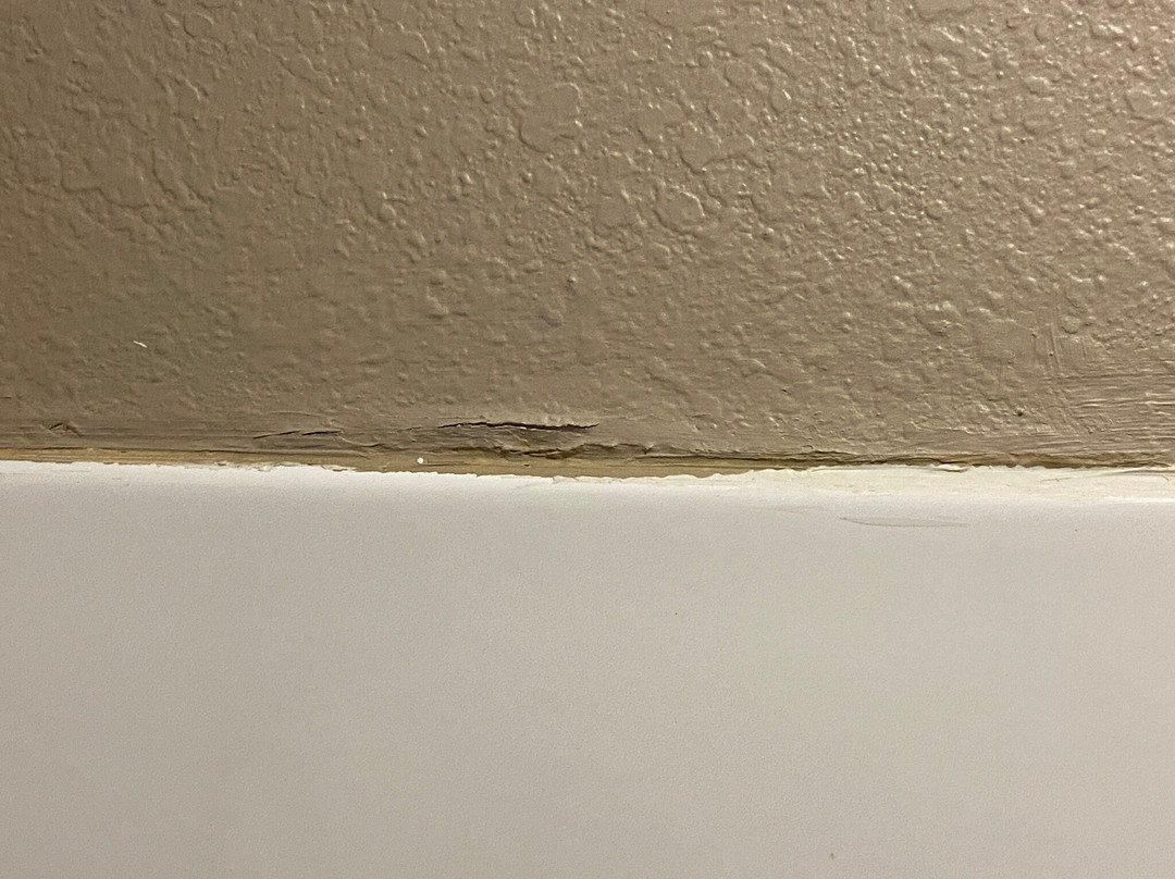 Quality Inn Calvert City - Paducah East主图