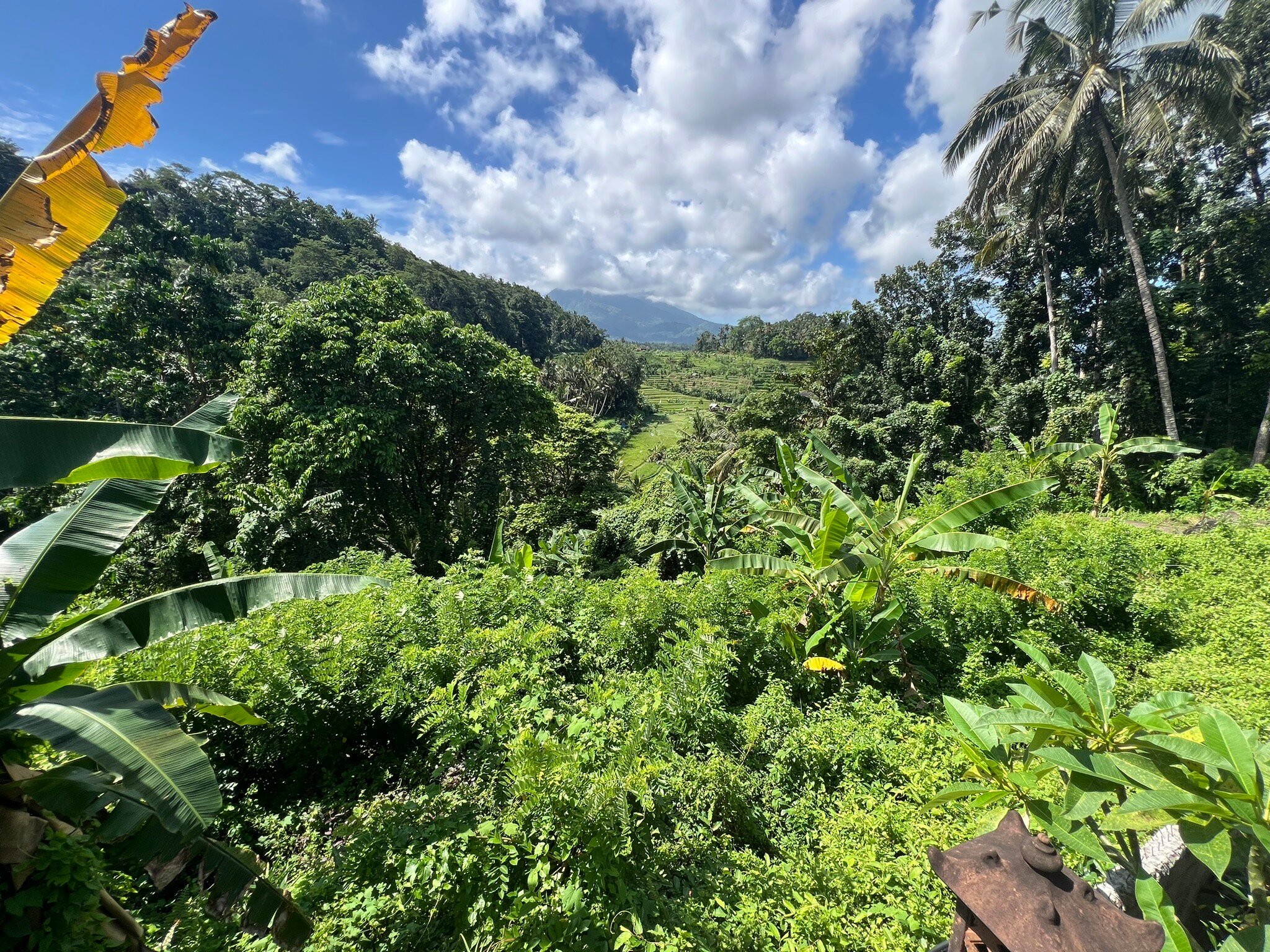 彭杜克巴都英达寄宿宾馆-官方