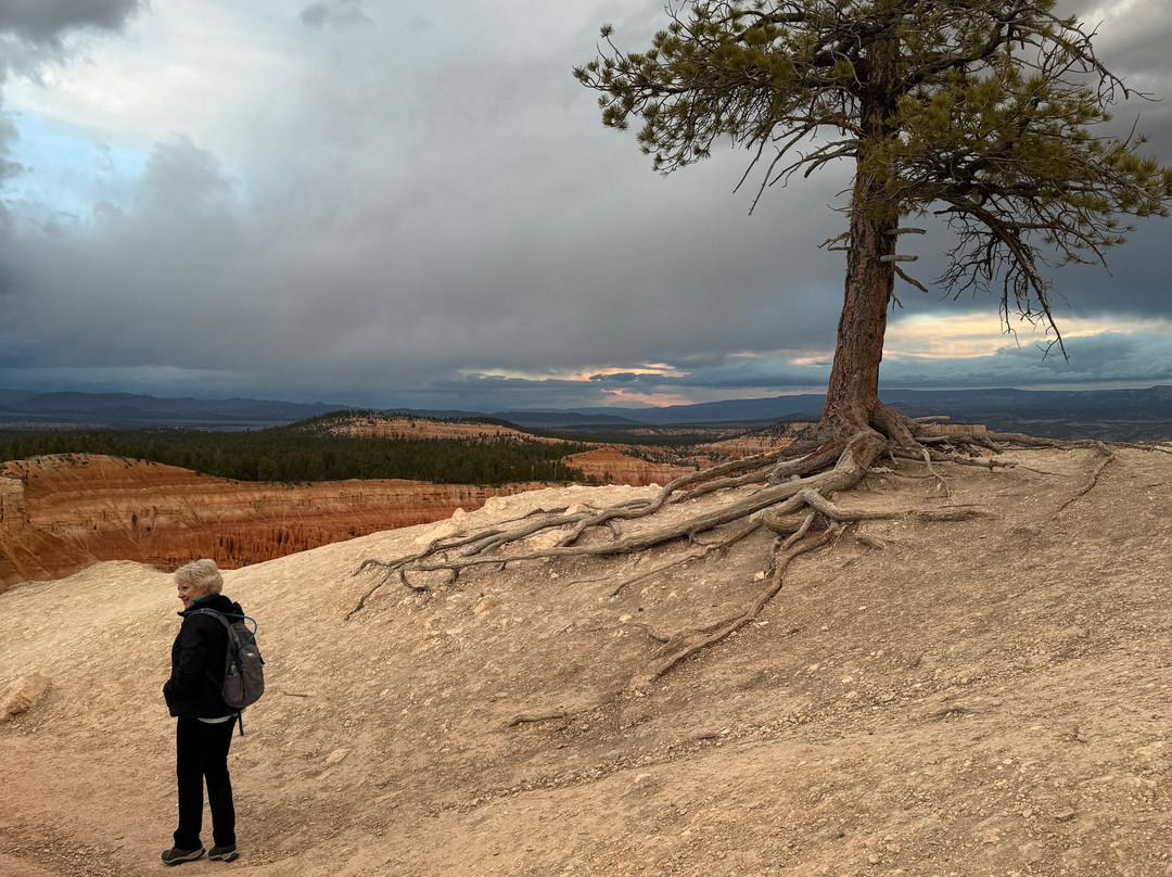 Canyon Fever Guides-布莱斯峡谷城必去景点