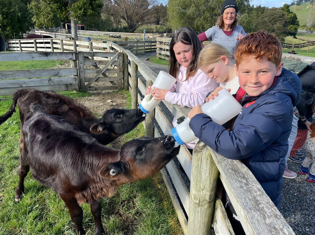 Sheepworld Farm Park-瓦卡沃夫必去景点