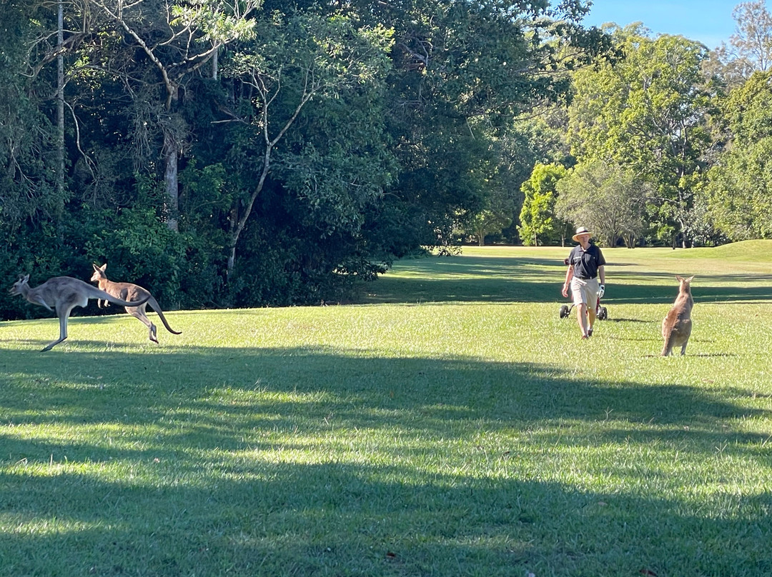 Noosa Valley Golf Club景点图片