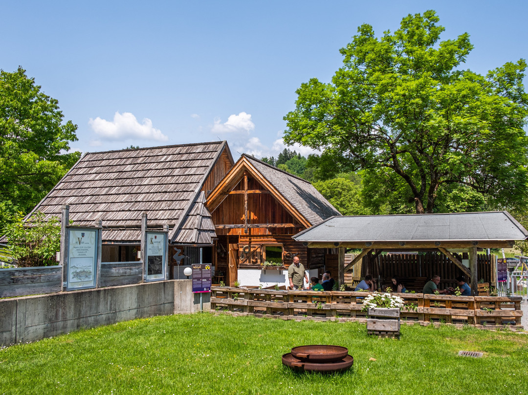 Sankt Jakob im Rosental餐馆和美食-Noreia Stubn