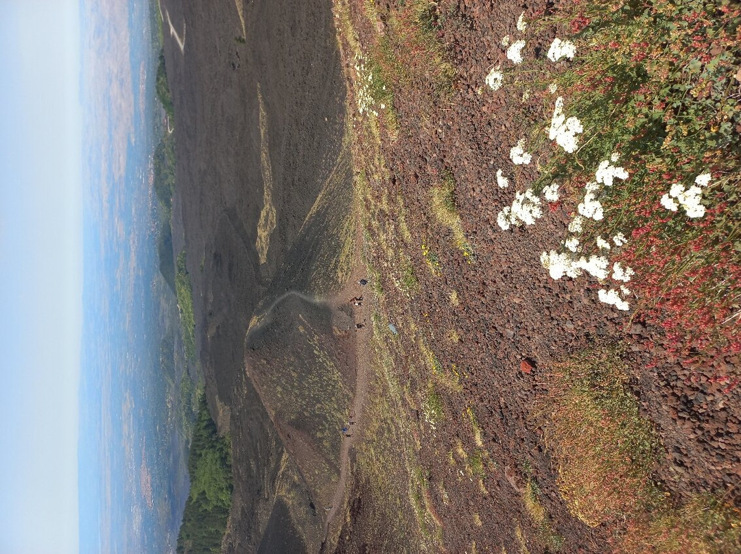 Etna Vibes Excursions-卡塔尼亚必去景点