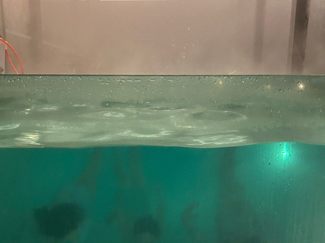 Hotel Parronales主图