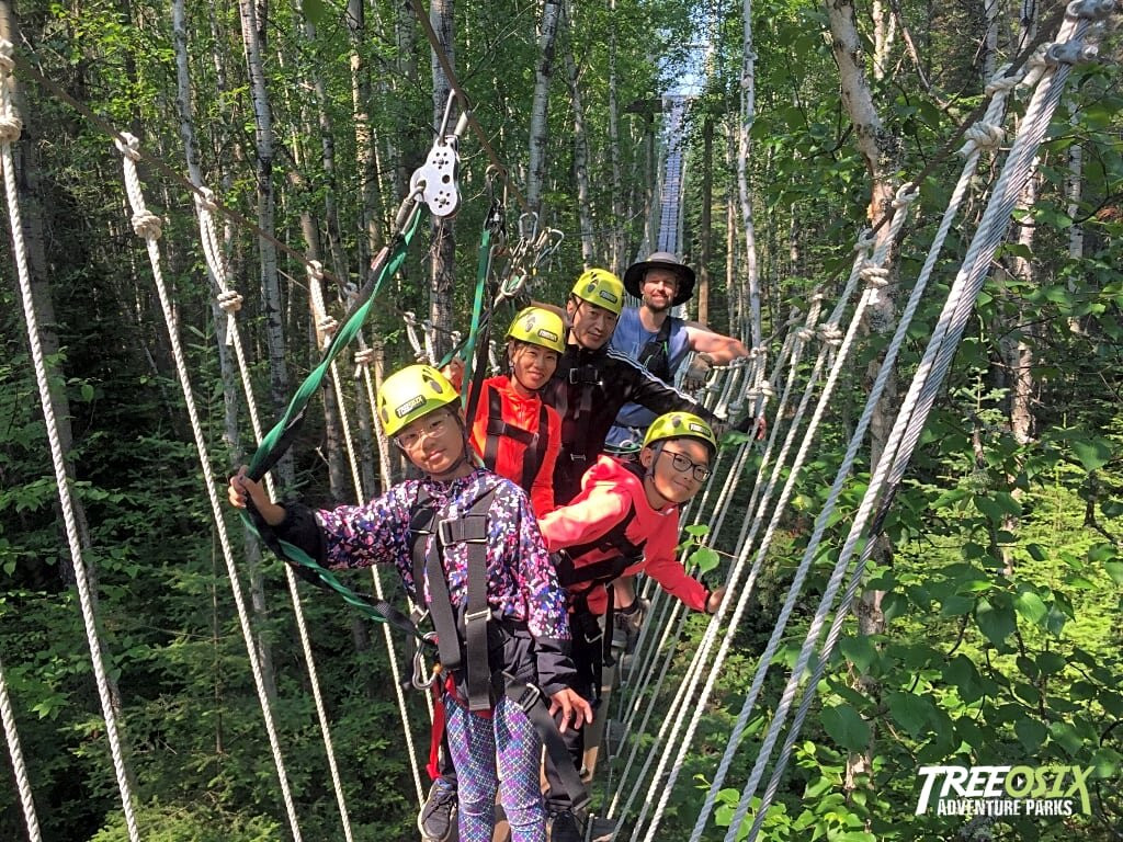 Treeosix Adventure Parks景点图片