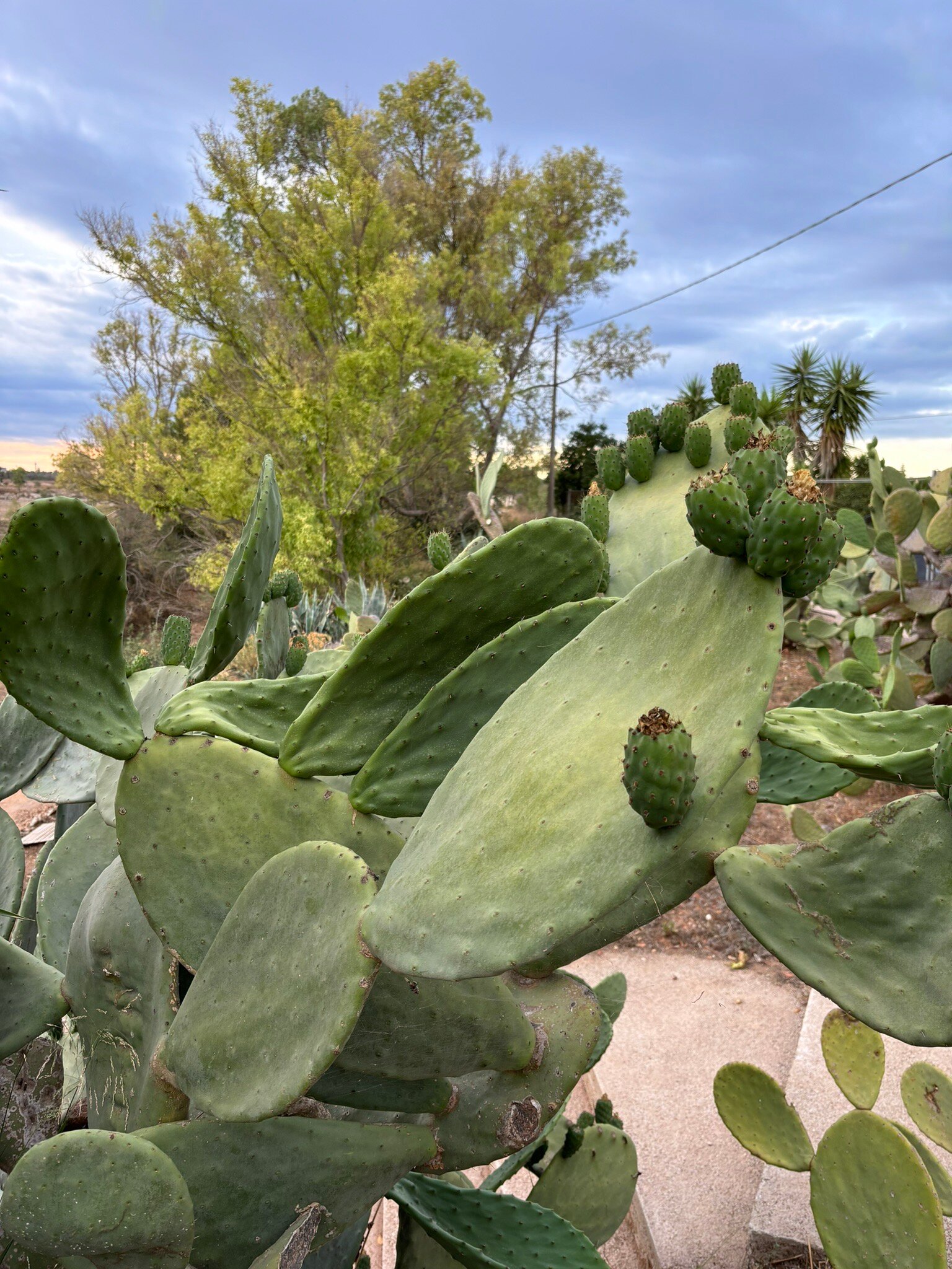 B&B A Casa Di Margherita-官方