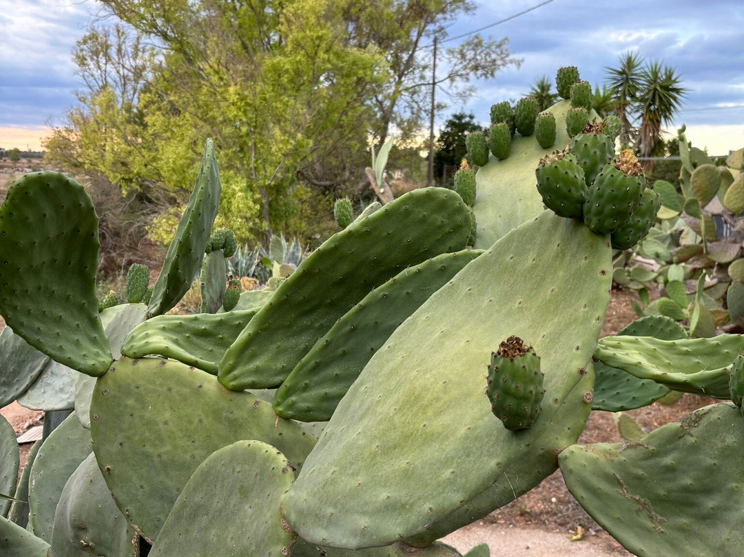 B&B A Casa Di Margherita主图