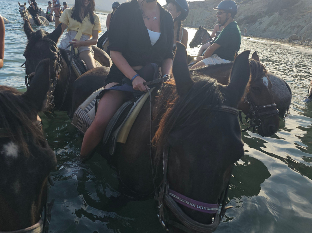 Nana's Horse Riding景点图片