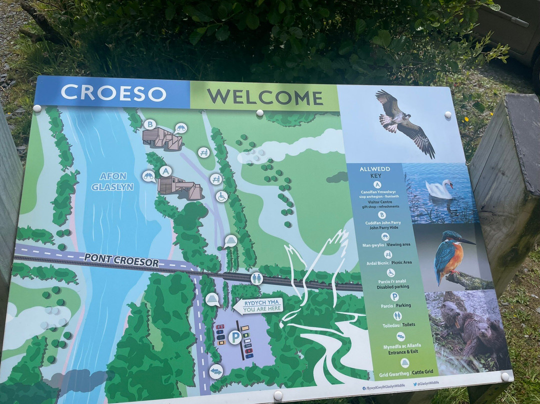 Bywyd Gwyllt Glaslyn Wildlife - Glaslyn Ospreys景点图片