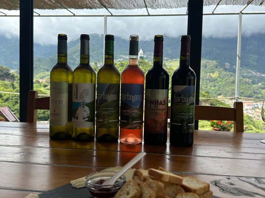 Remote Madeira-马德拉群岛必去景点