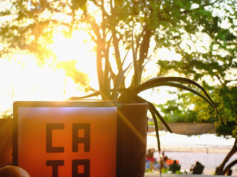 CATA  Agave Bar-塔马林多必去景点