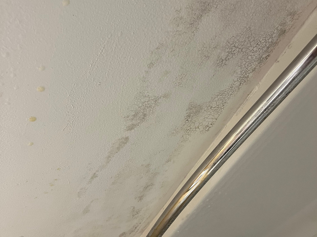 Holiday Inn Express Big Rapids by IHG主图