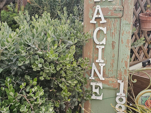 梅斯 1868 民宿主图