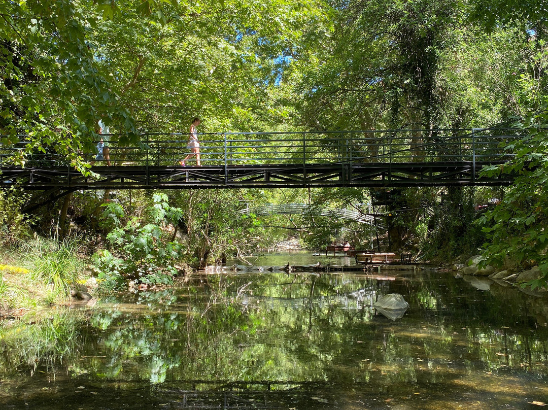 Zumrut Cirali Butik Otel主图