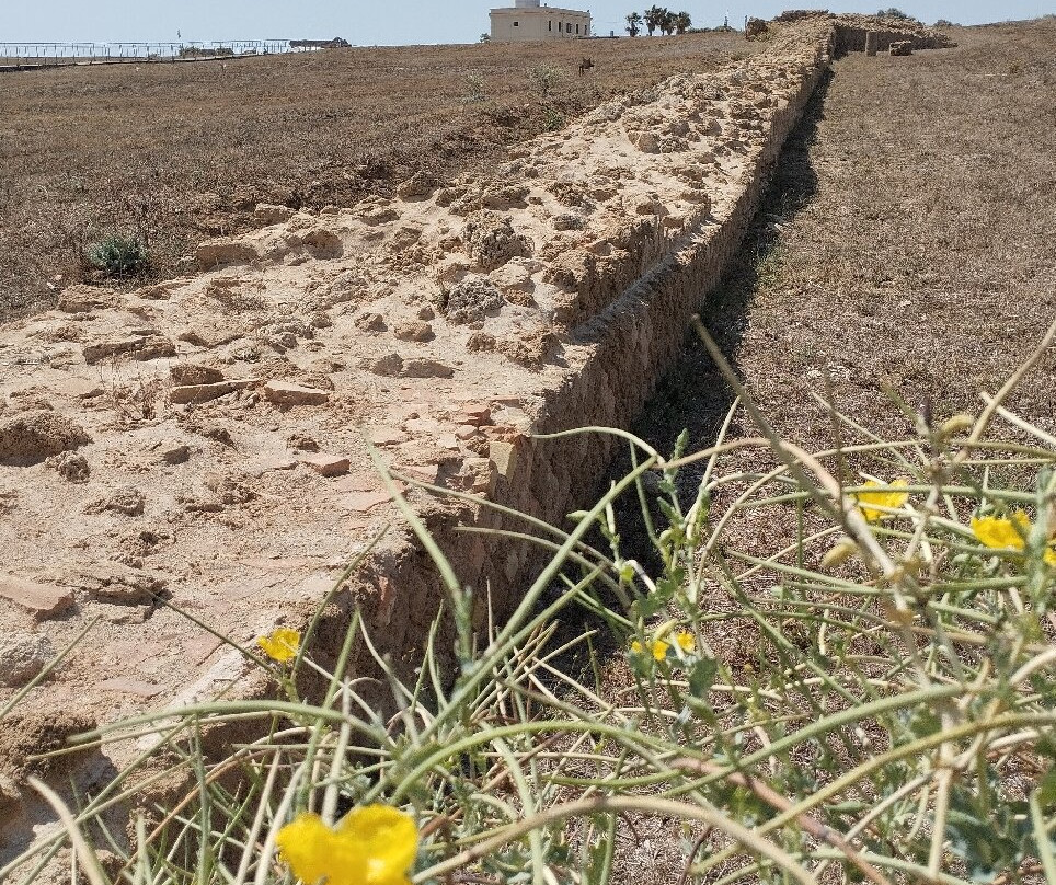 Area Archeologica di Capo Colonna景点图片