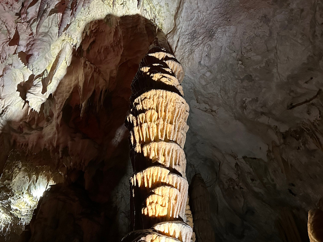 Grotte di Postumia - Park Postojnska jama景点图片