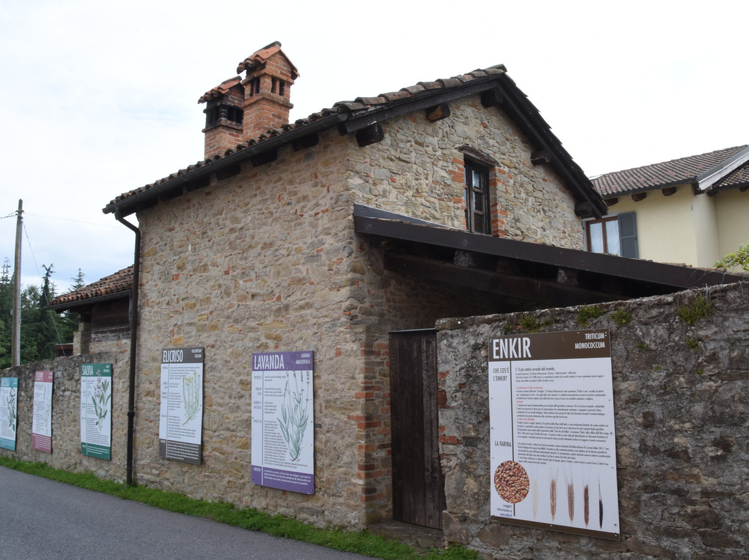 Fioritura della Lavanda景点图片