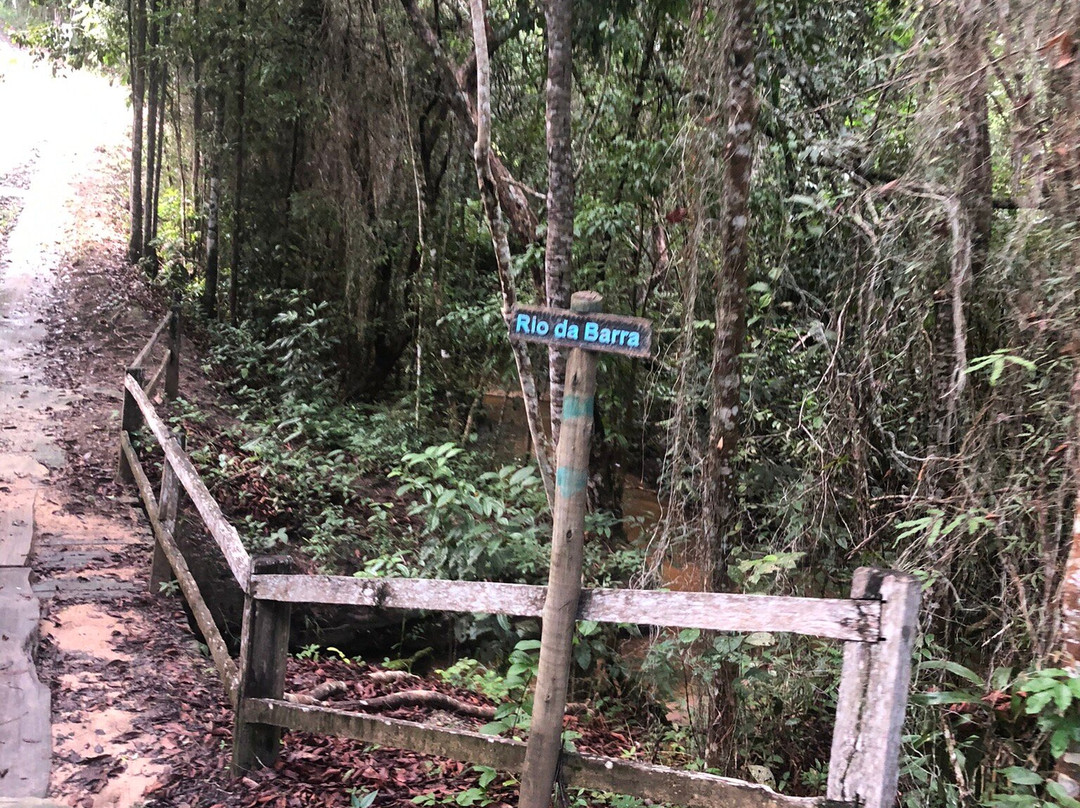Parque Nacional do Pau Brasil-Porto Seguro必去景点