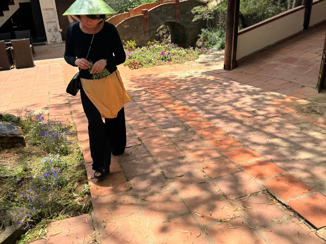 XQ Da Lat Art House-大勒必去景点