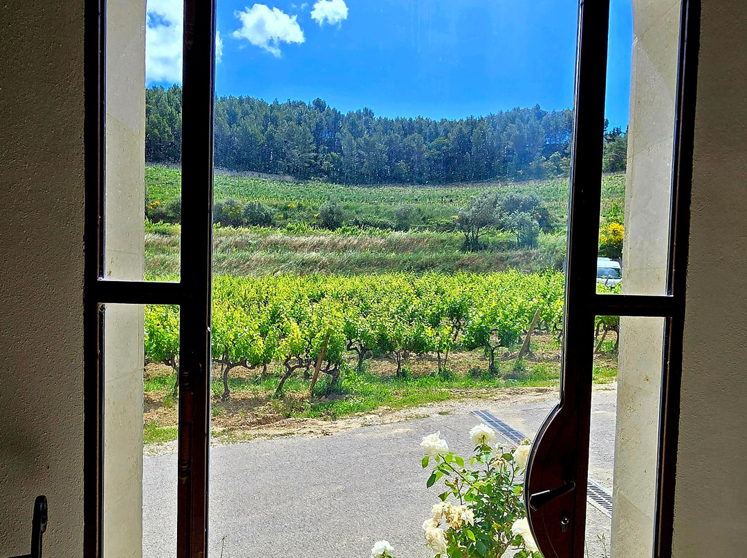 DOMAINE DU BOSQUET DES PAPES景点图片