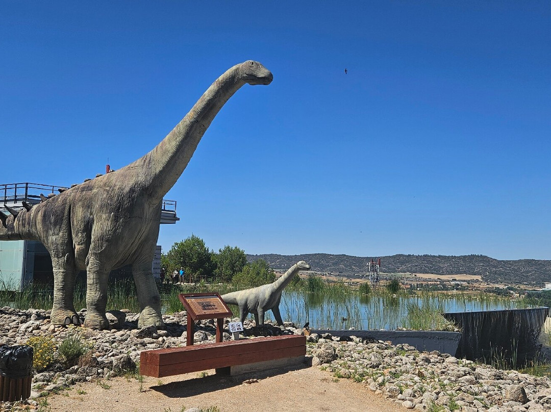 Museo de Paleontologia de Castilla-La Mancha景点图片