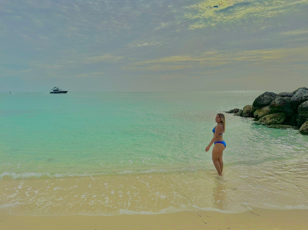 Bimini Cove Resort & Marina主图