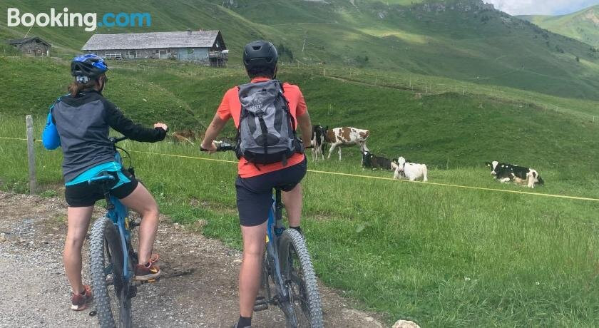 Les Crosets酒店住宿-Chalet Montriond