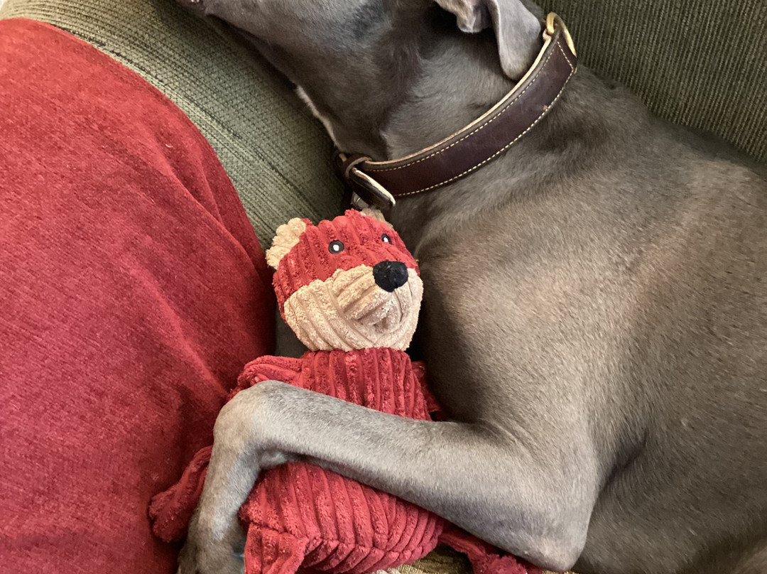 Labella’s Pizzeria