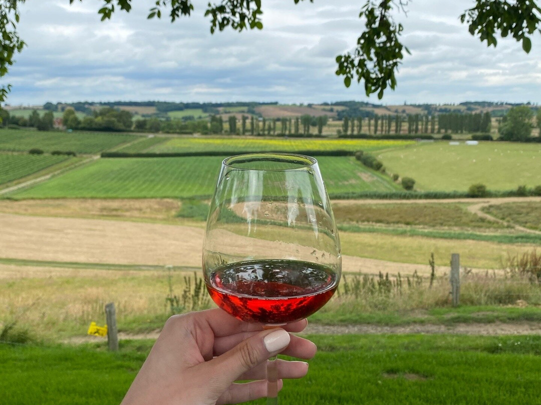 Vine + Country Wine and Food Tours-St Leonards-on-Sea必去景点