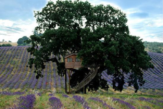 Agriturismo La Piantata