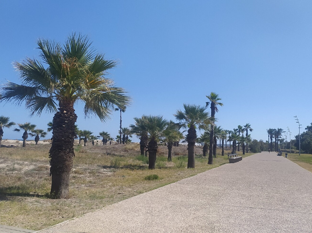 Playa El Gurugu景点图片