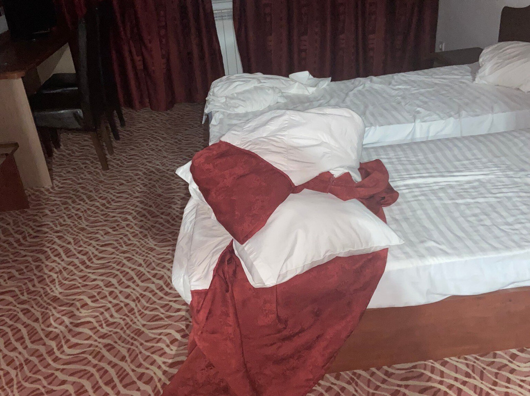 Hotel Flora主图
