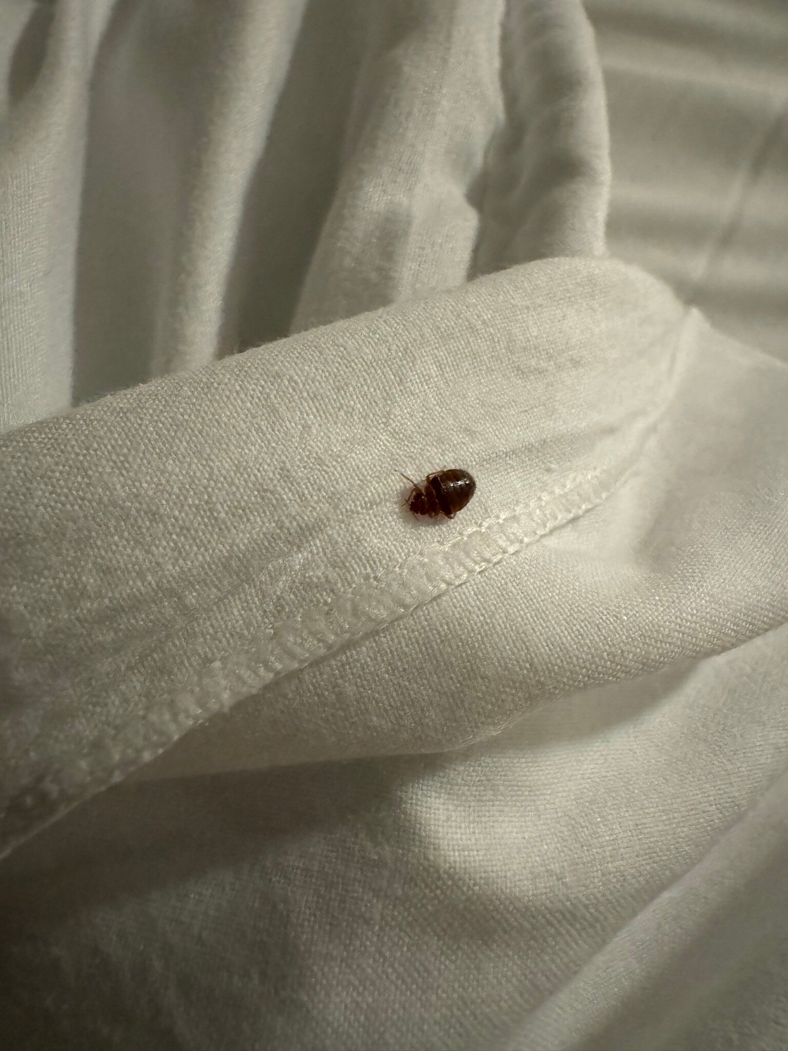 ibis Moulins Sud-官方