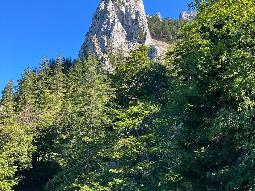 Aktivhotel Fottinger主图