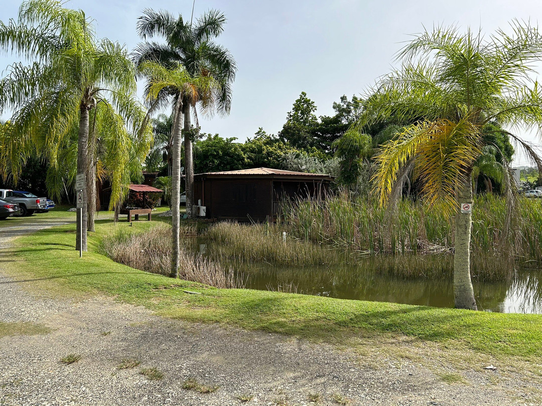 Hacienda El Jibarito主图