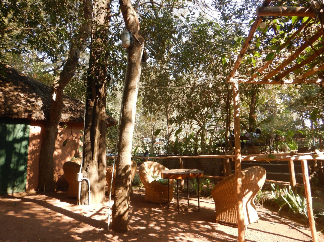 Lilongwe Wildlife Centre-里朗威必去景点