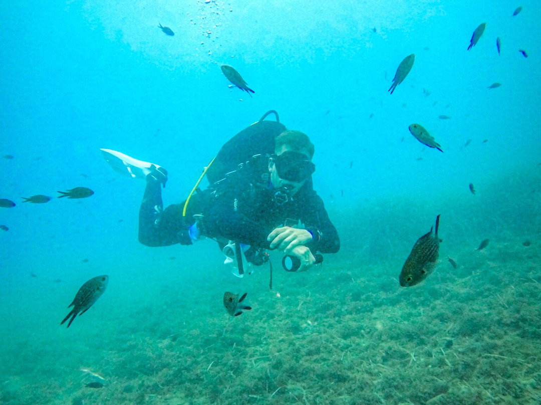 Buceo Mojacar景点图片