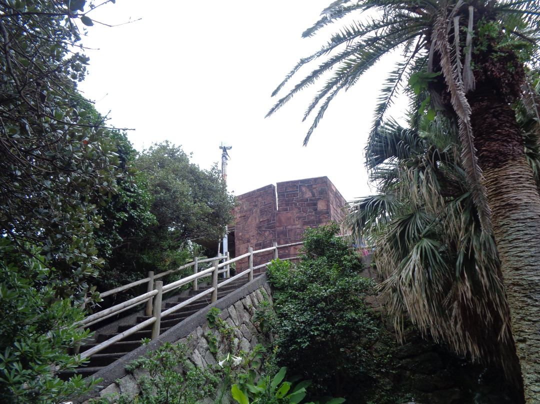 Cape Ashizuri-土佐清水市必去景点
