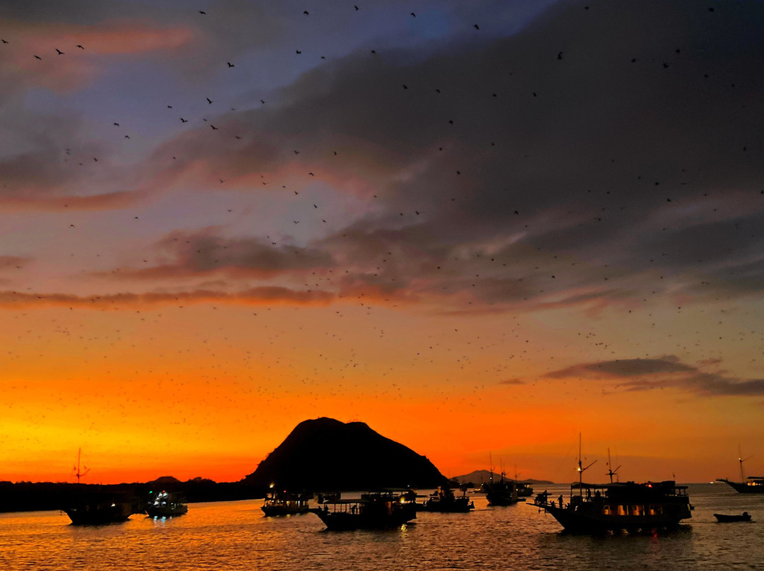 Kalong (Flying Foxes) Island景点图片
