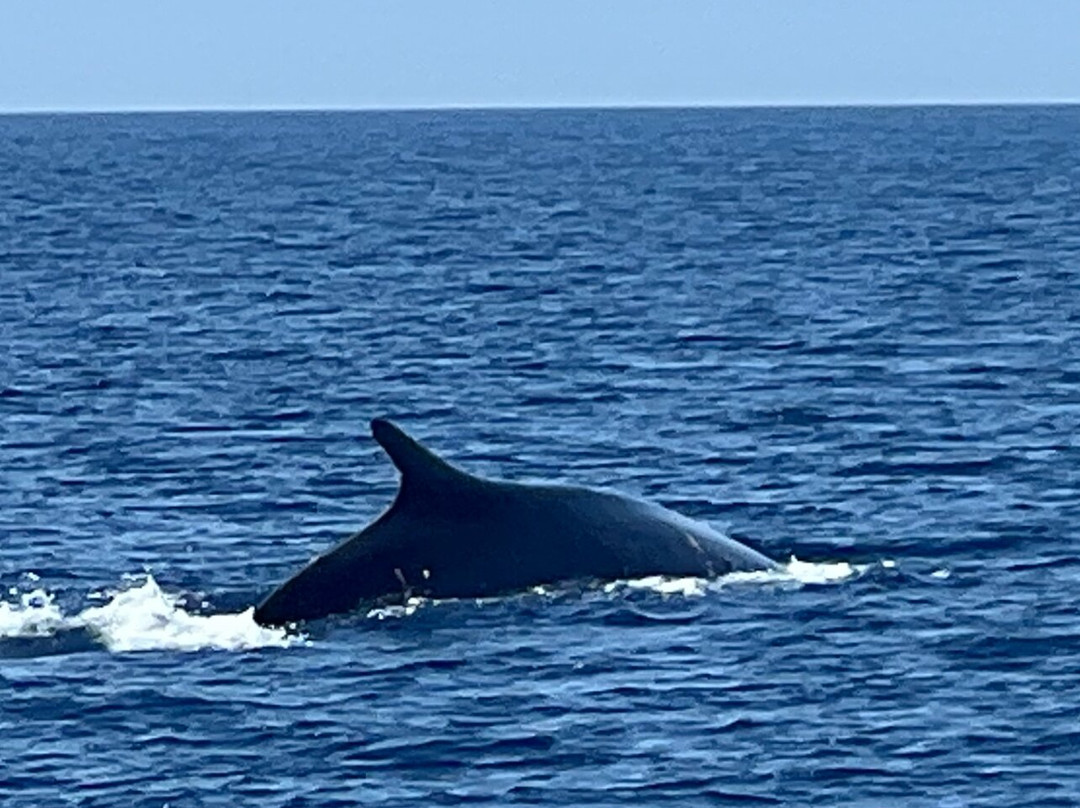 Yo te Espero Fishing and Boat Trips-班纳玛德纳必去景点