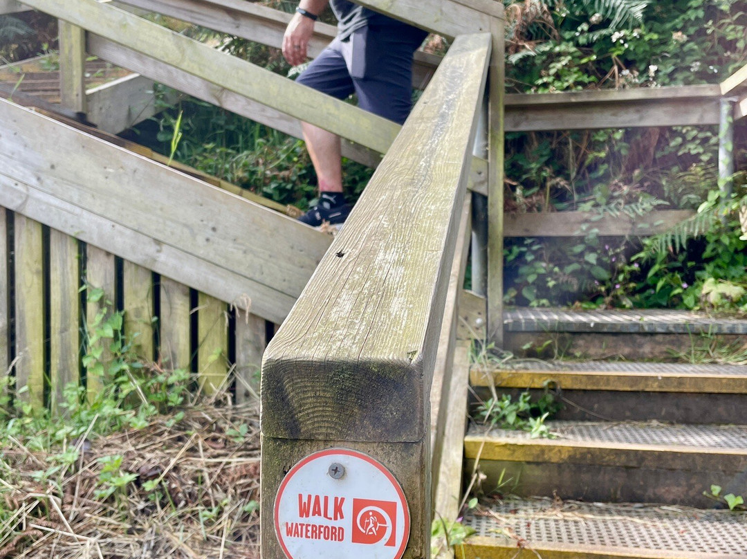 Dunmore East Coastal Walk-Dunmore必去景点