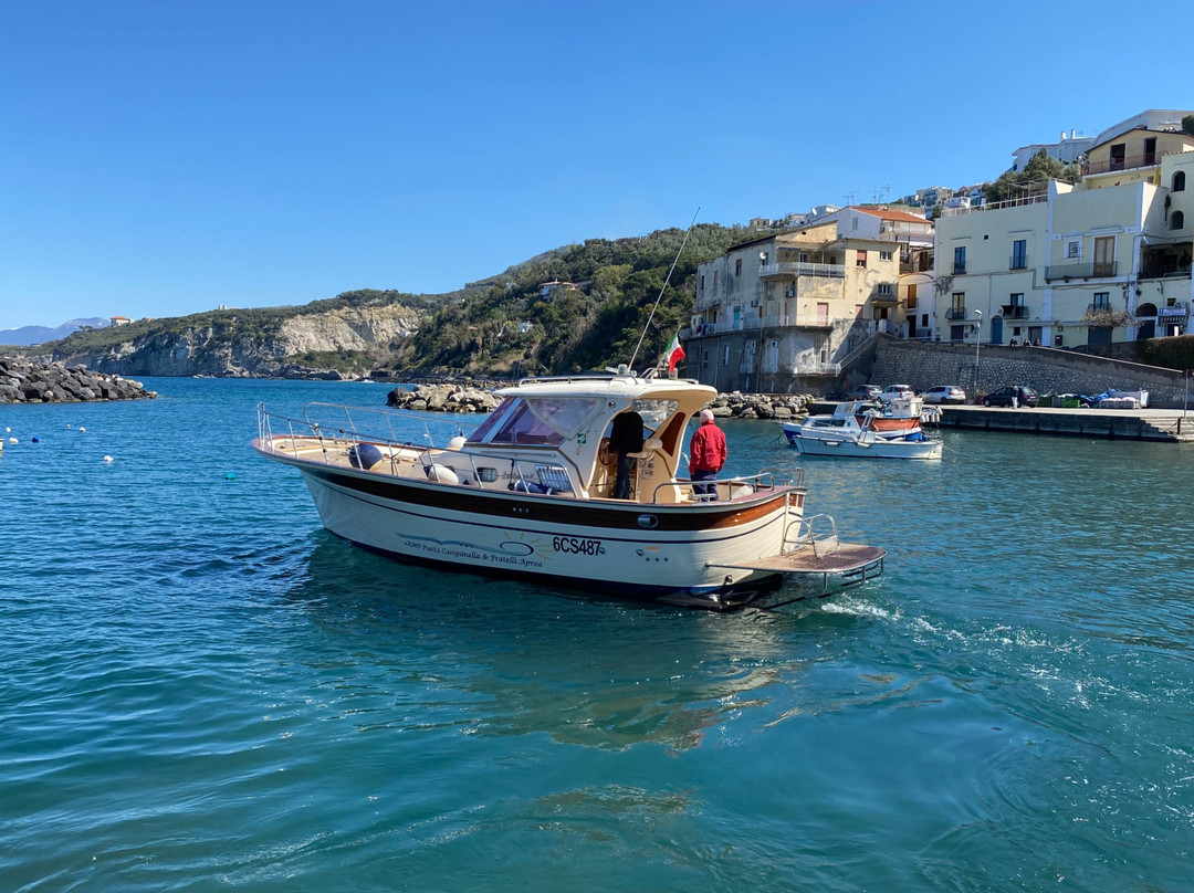 Visite guidate dell'Area Marina Protetta Punta Campanella-马萨卢布伦塞必去景点