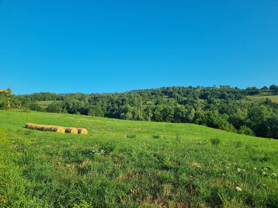 Bio Fattoria Ca d'Pignat